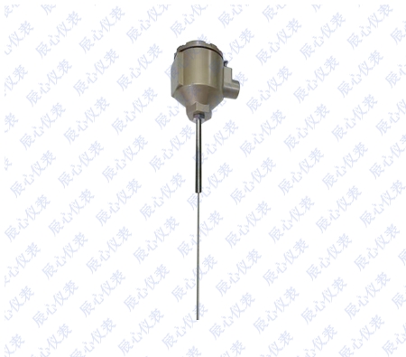 加強(qiáng)管型熱電偶熱電阻